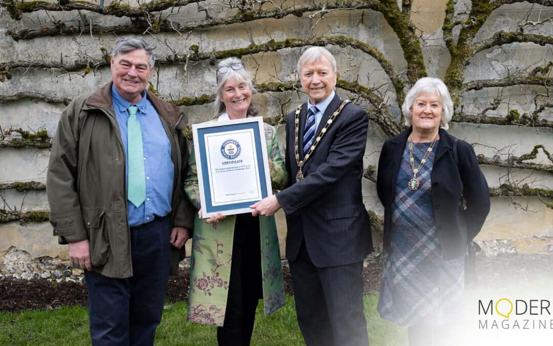 Houghton Lodge Gardens Celebrate Guinness World Records recognition & 230th anniversary