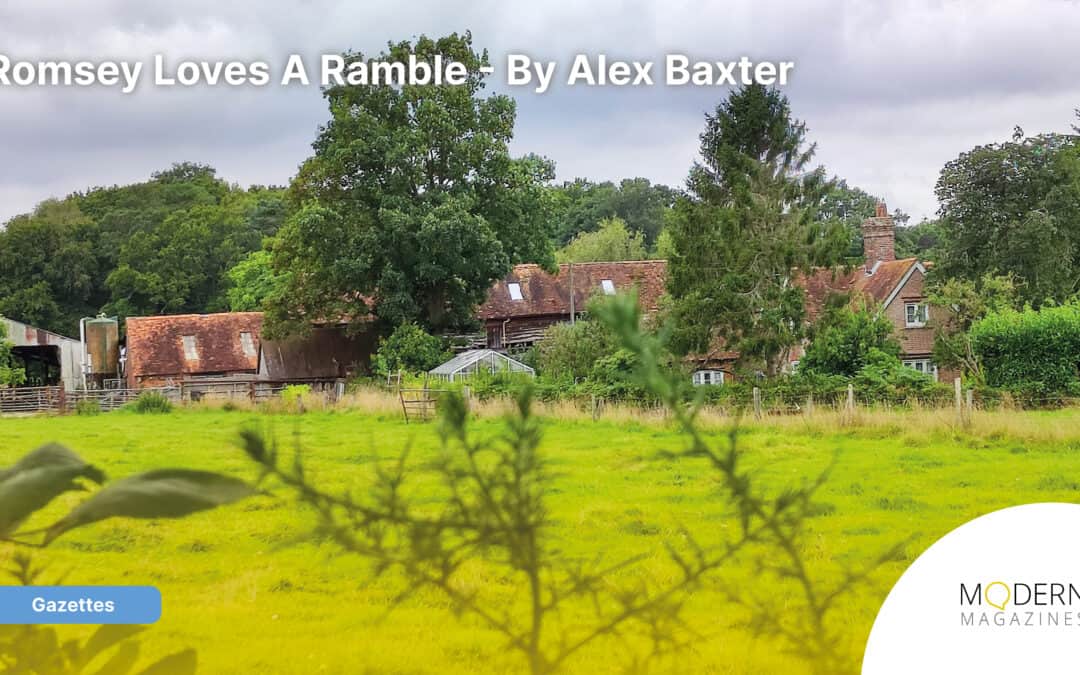 Romsey Loves A Ramble – By Alex Baxter
