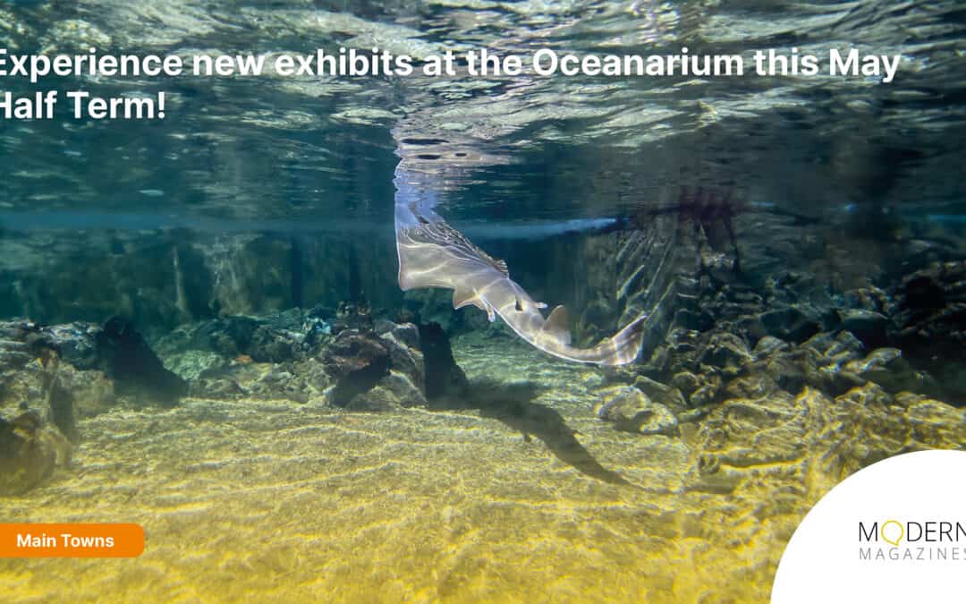 Sea More at the Oceanarium With Arrival of New Exhibits in Time for May Half Term!