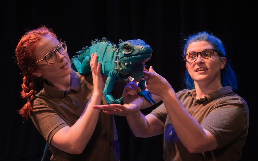 Fantastic Theatre for Families across Dorset this Half Term!