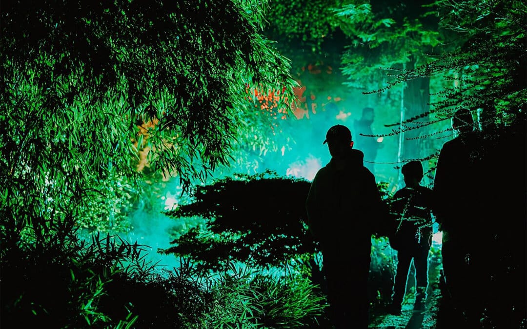 Spooky Halloween Trail at Moors Valley for Everyone