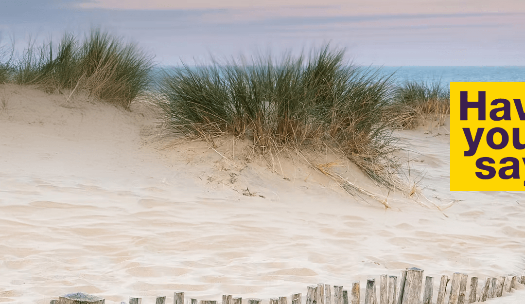 Have your say on sand dunes at Sandbanks