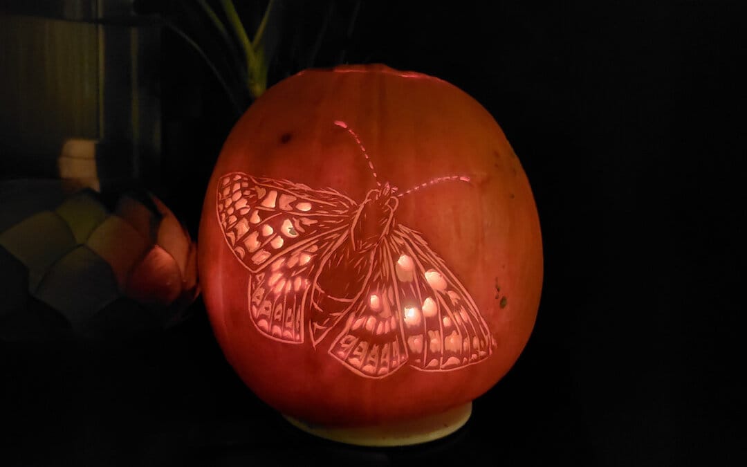 Scarily fun activities for the kids this Half Term