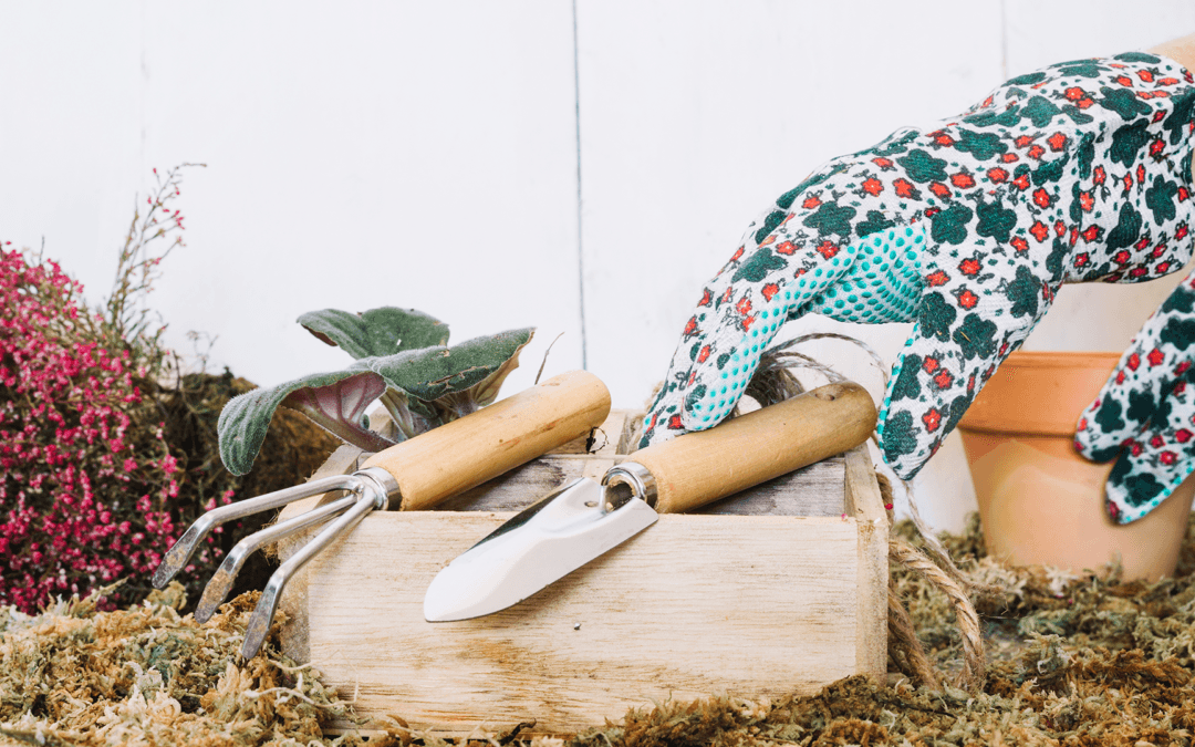 Gardening Club’s Successful February Meeting