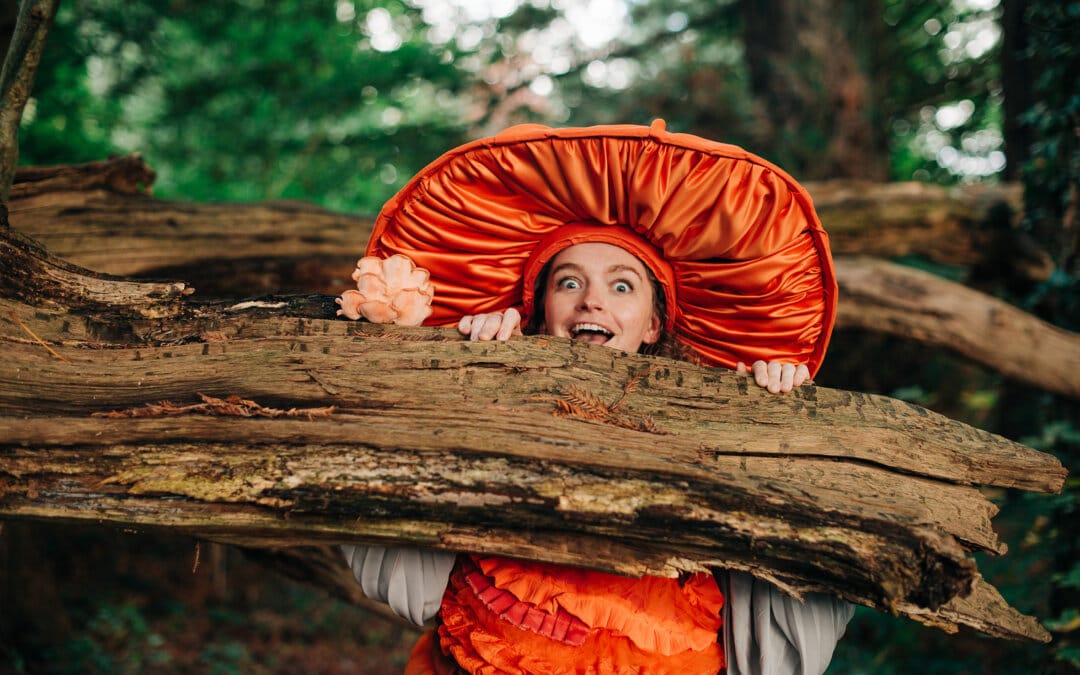 Dorset charity Artsreach unveils Summer Season of Music, Theatre & more!