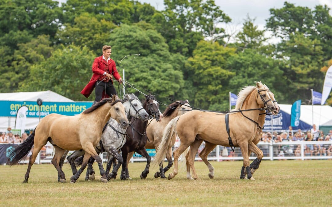 Countdown Begins: Just Two Months to Go Until the New Forest Show 2025!