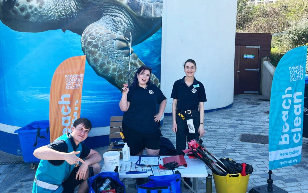 Oceanarium, Bournemouth teams up with Marine Conservation Society to launch public beach cleans