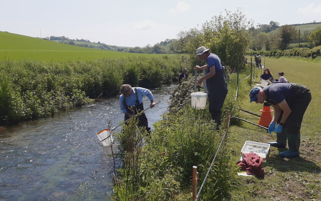 Campaign launched to restore Dorset’s rivers and wetlands