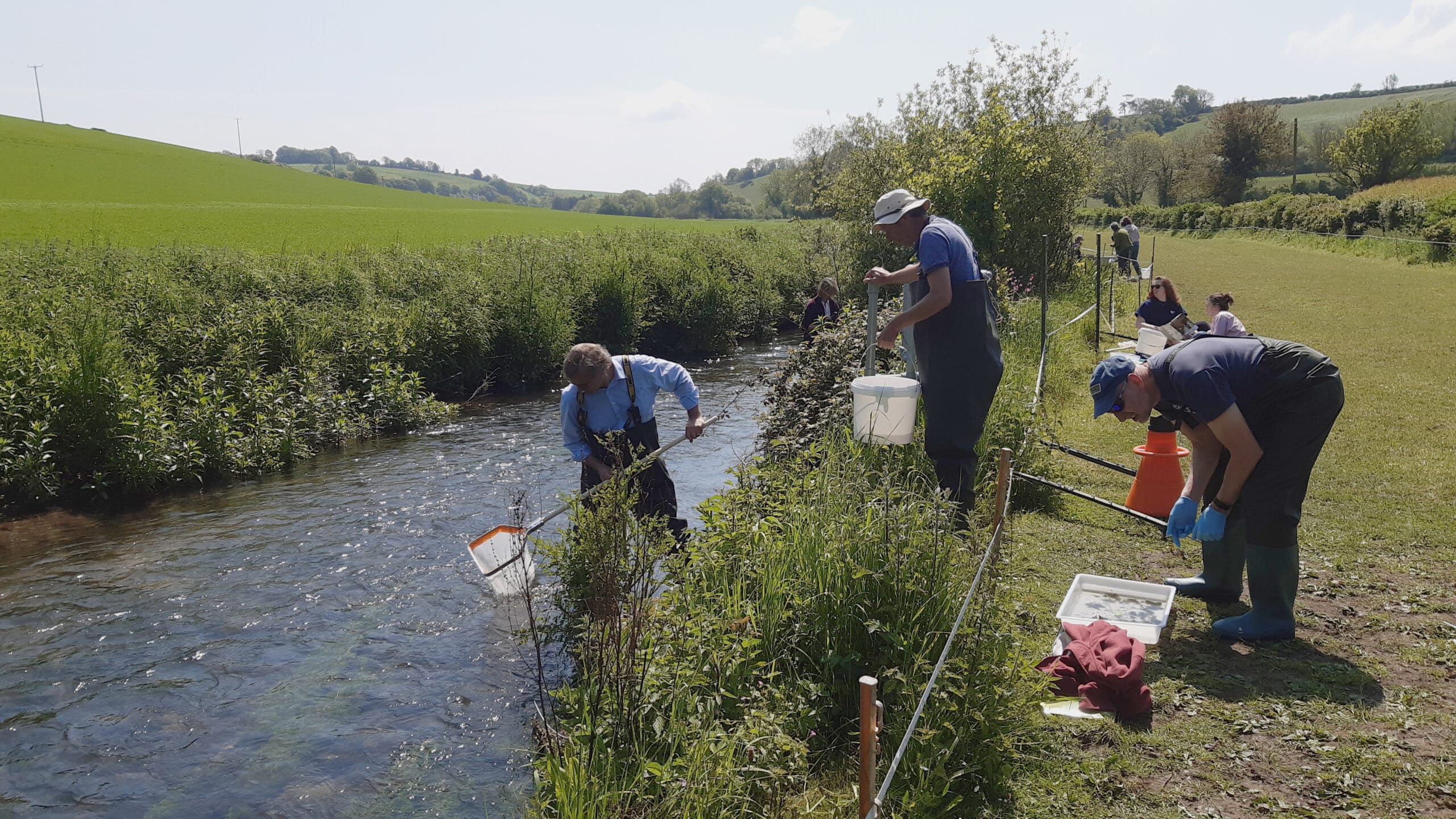 Campaign launched to restore Dorset’s rivers and wetlands