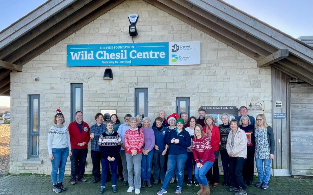Volunteer call-out for Dorset Wildlife Trust’s visitor centres