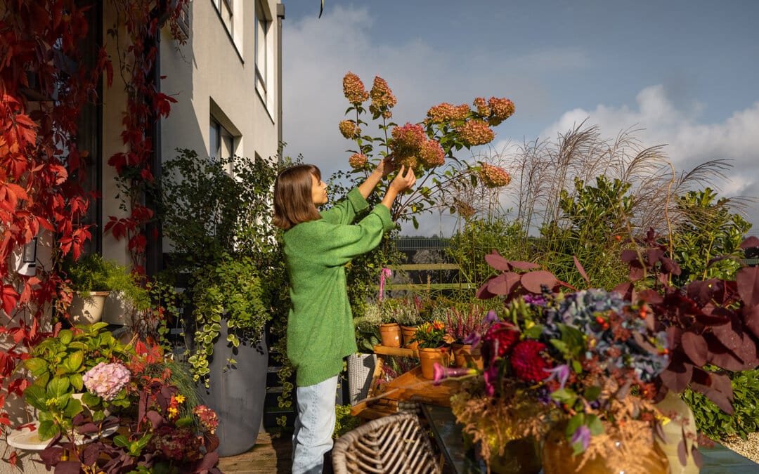 Wimborne Gardening Club