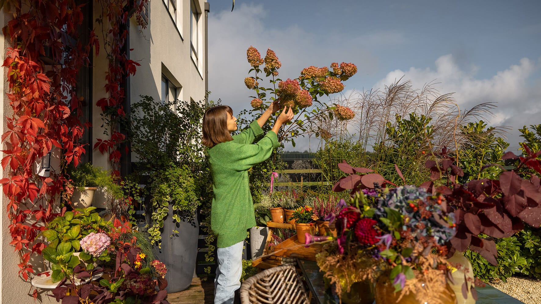 Wimborne Gardening Club