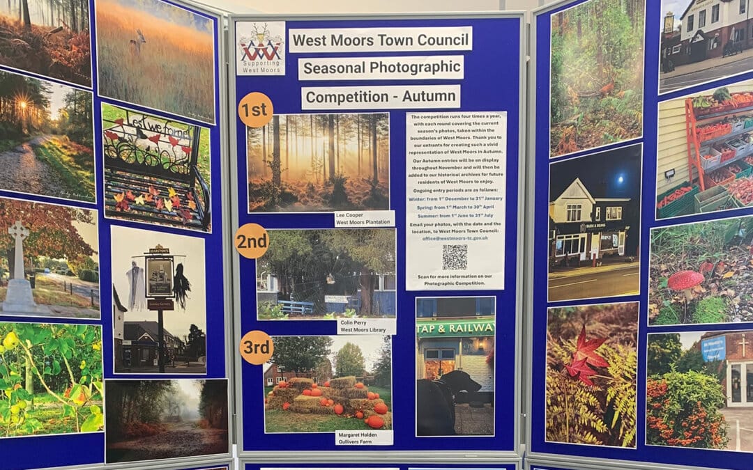 West Moors Seasonal Photographic Competition – Autumn Results