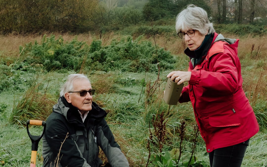 Wild Woodbury brings community together for a day to celebrate nature and rewilding