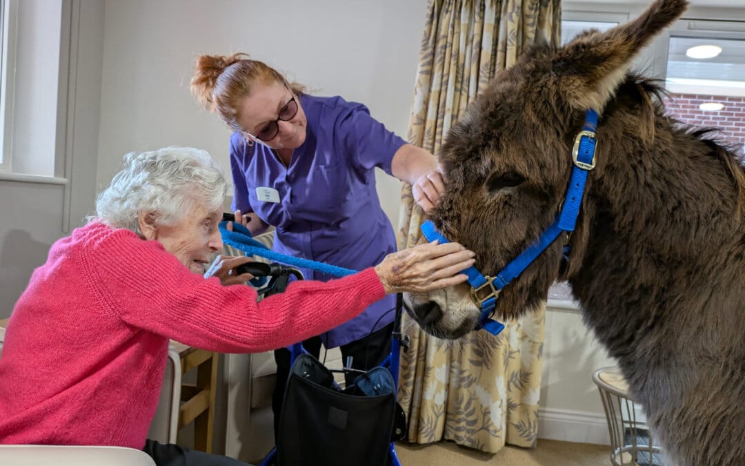 Parkstone Care Home Raises £250 for Donkeys