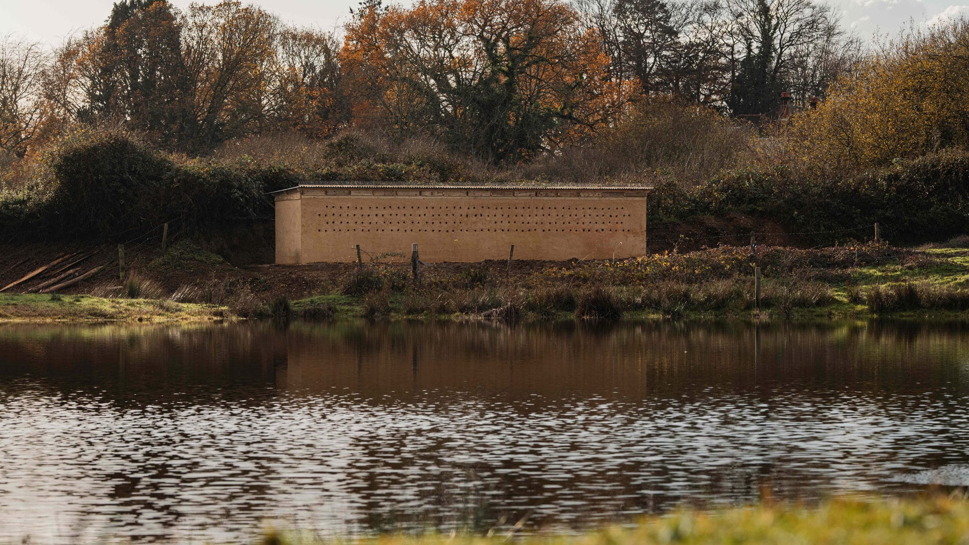 New Artificial Bank Gives Sand Martins a Safe Space