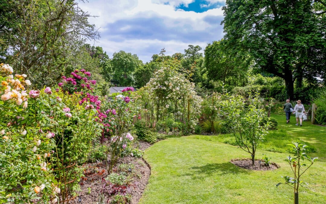 Sway Open Gardens on Sunday 7th June 2026