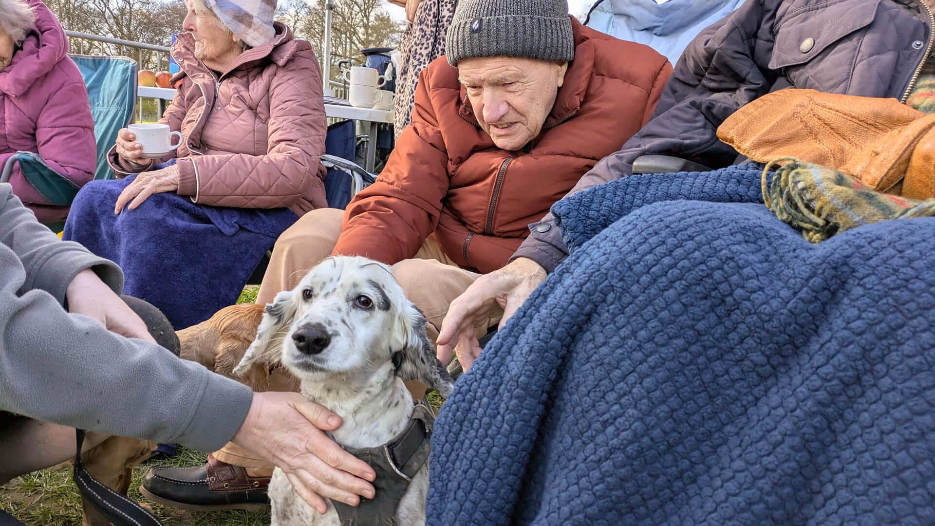 Care South Staff and Residents Enjoy Muddy Fun at Dog-Themed Fundraiser in Poole