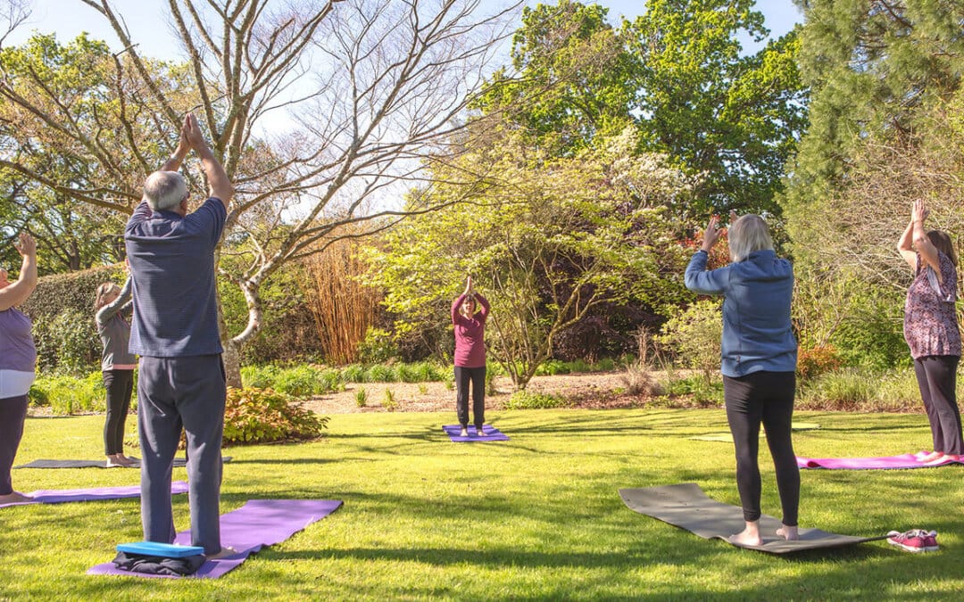 Knoll Gardens Events Programme: Your Gateway to Wildlife and Well-Being