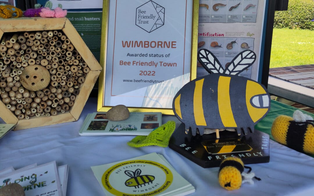 What’s the Buzz?