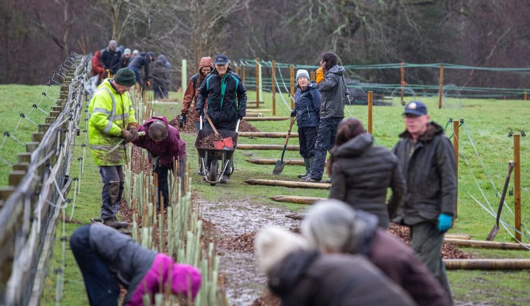 Brockenhurst Nature Project Awarded £20,000 from The National Lottery Community Fund