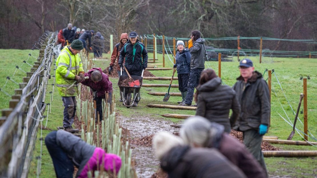 Brockenhurst Nature Project Awarded £20,000 from The National Lottery Community Fund