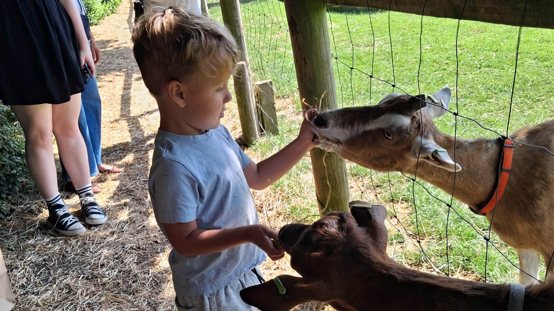 Local Families Enjoy Memorable Farm Visit Thanks to Community Generosity