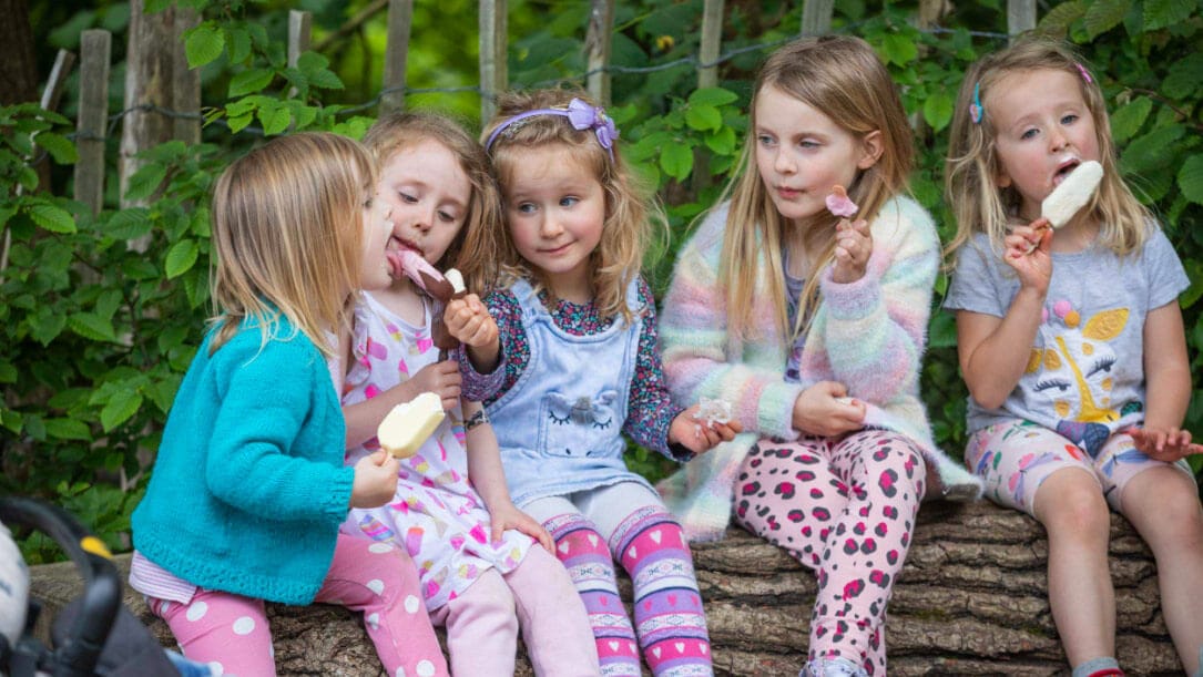 Jump into National Trust’s Summer of Play in Hampshire